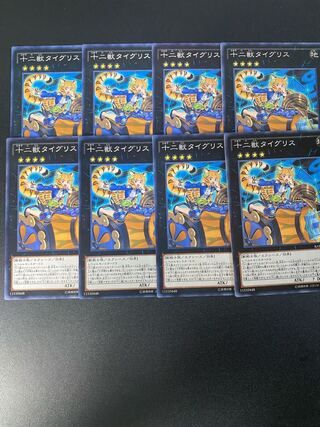 Zoodiac Tigermortar Normal JP052