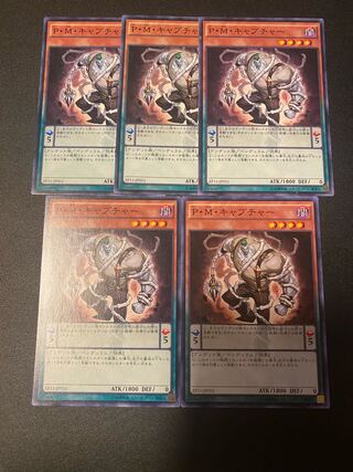 P・M・キャプチャー