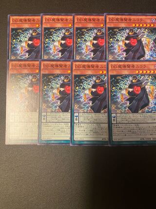 D/D Savant Nikola Normal JP011