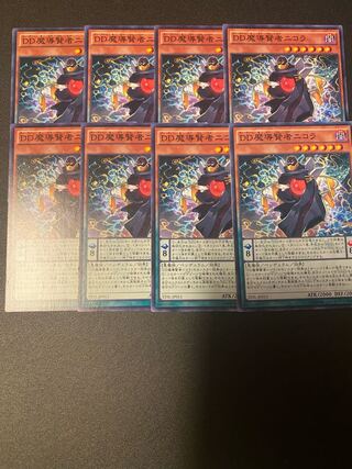 D/D Savant Nikola Normal JP011