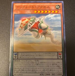 Qliphort Cephalopod Normal JP021