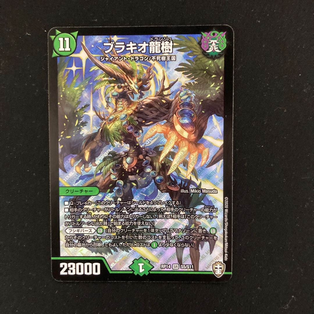 Ryuki Brachio SR S5/S11