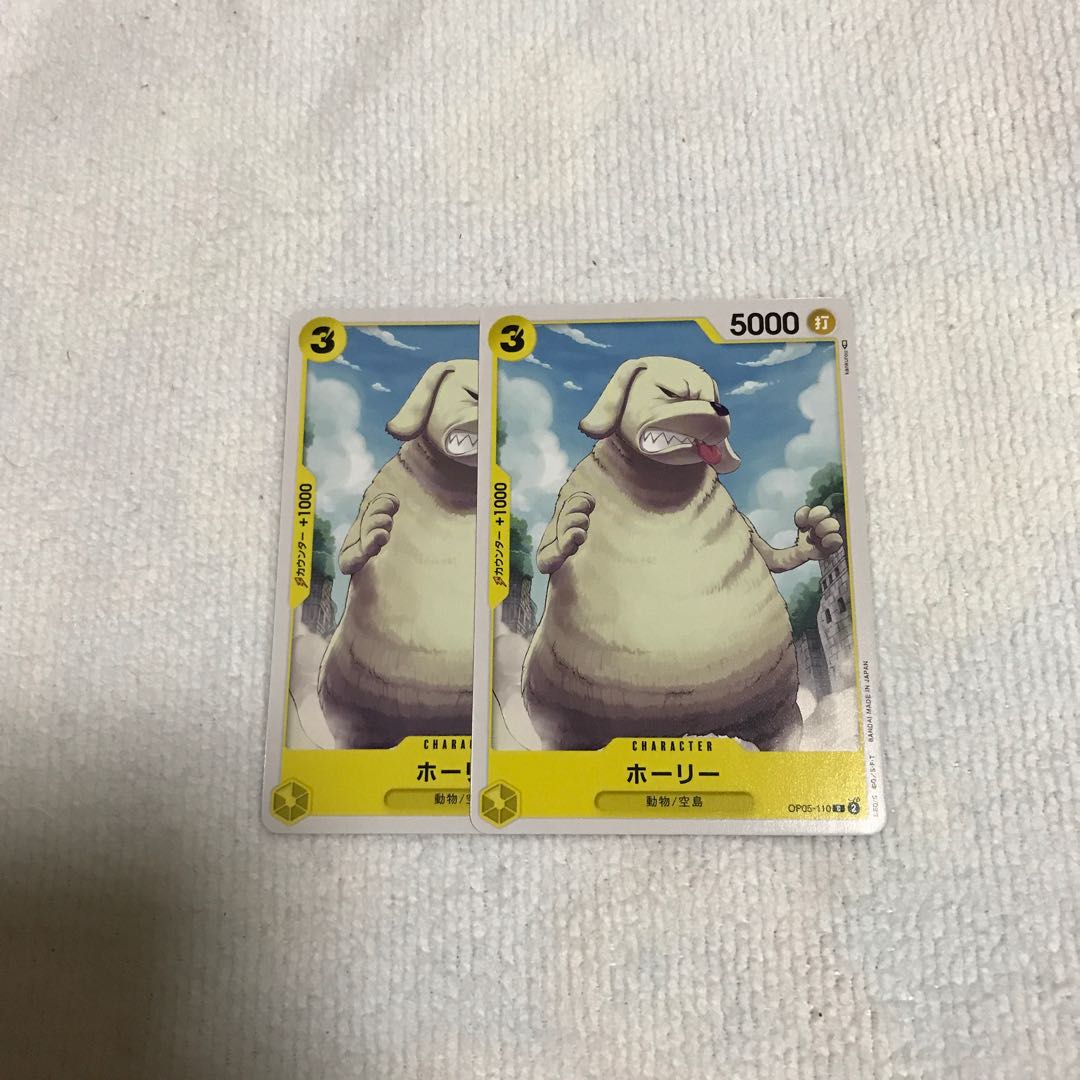 English holly (Ilex aquifolium)