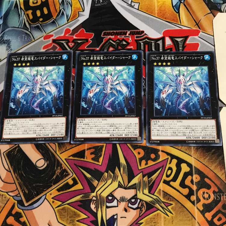 No.37 Hope Sensei Ryu Spider Shark PP18 9 Normal, set of 3 Tera