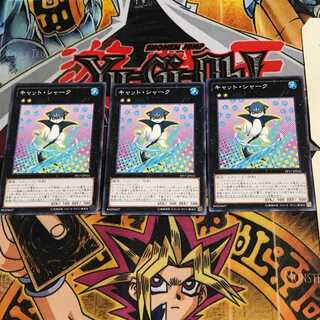 Cat Shark PP17 6 Normal, set of 3 Tera