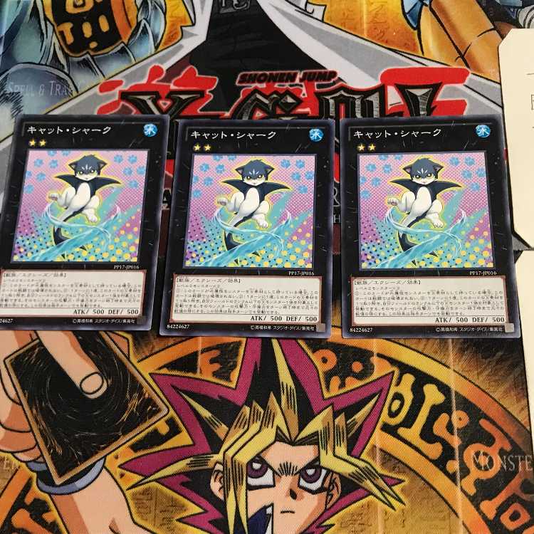 Cat Shark PP17 7 Normal, set of 3 Tera