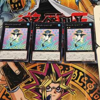 Cat Shark PP17 7 Normal, set of 3 Tera