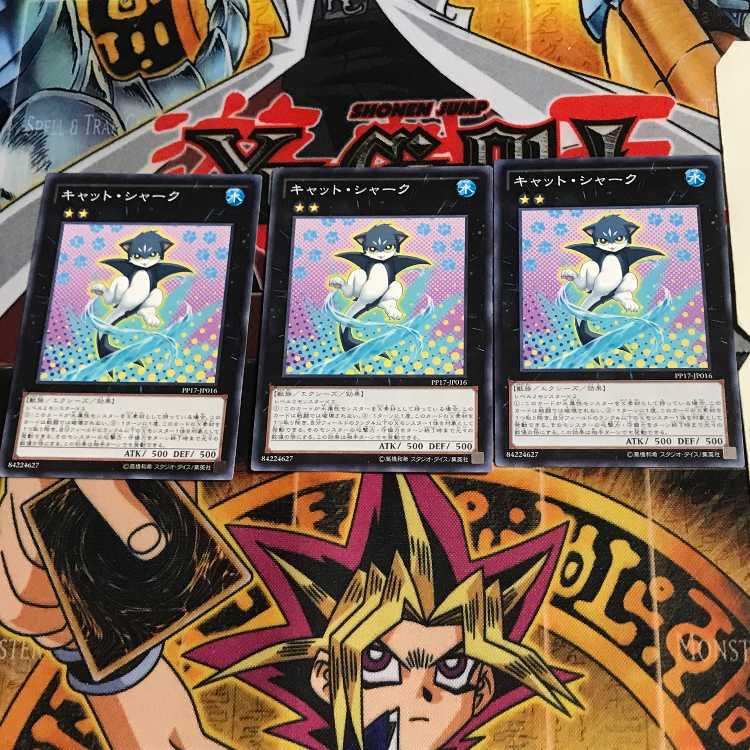 Cat Shark PP17 8 Normal, set of 3 Tera