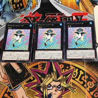 Cat Shark PP17 8 Normal, set of 3 Tera