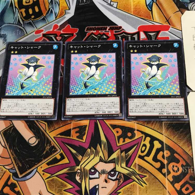 Cat Shark PP17 9 Normal, set of 3 Tera