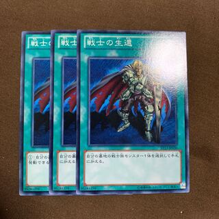 戦士の生還　3枚