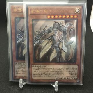 教導の騎士フルルドリス