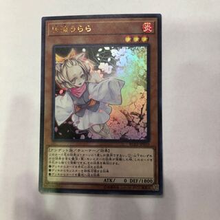 遊戯王　灰流うらら　ウルトラ　UR