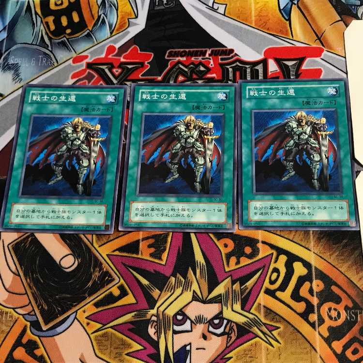 The Warrior Returning Alive SC 2nd period ver 5 normal, set of 3 Tera.