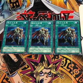 The Warrior Returning Alive SC 2nd period ver 10 normal, set of 3 Tera.