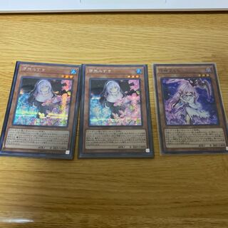 儚無ミズキ　シク　浮幽桜　スーレア