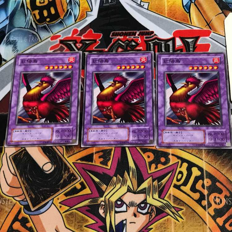 紅陽鳥 B3 2期ver 4 ノーマル 3枚セット てら