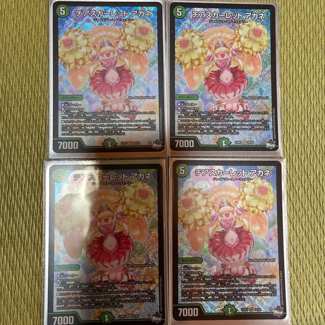 Cheer Scarlet Whitney SR S8/S8