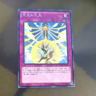 Nine Pillars of Yang Zing rare JP077