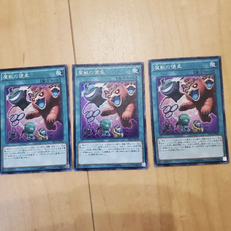 遊戯王 魔獣の懐柔　まじゅうのかいじゅう