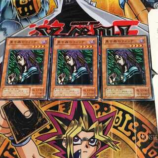 Witch of the Black Forest PE 2nd period ver 3 normal, set of 3 Tera