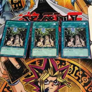 Snake Rain TAEV 6 rare, set of 3 Tera.