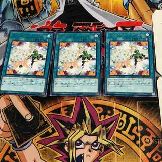 トリックスター・ブーケ FLOD 5 レア 3枚セット てら