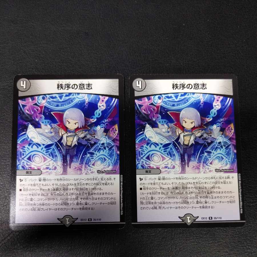 秩序の意志 R 35/110