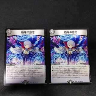 秩序の意志 R 35/110