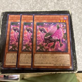 ロクスローズ・ドラゴン レア JP009  3枚 3枚