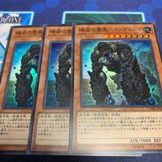 礫岩の霊長-コングレード