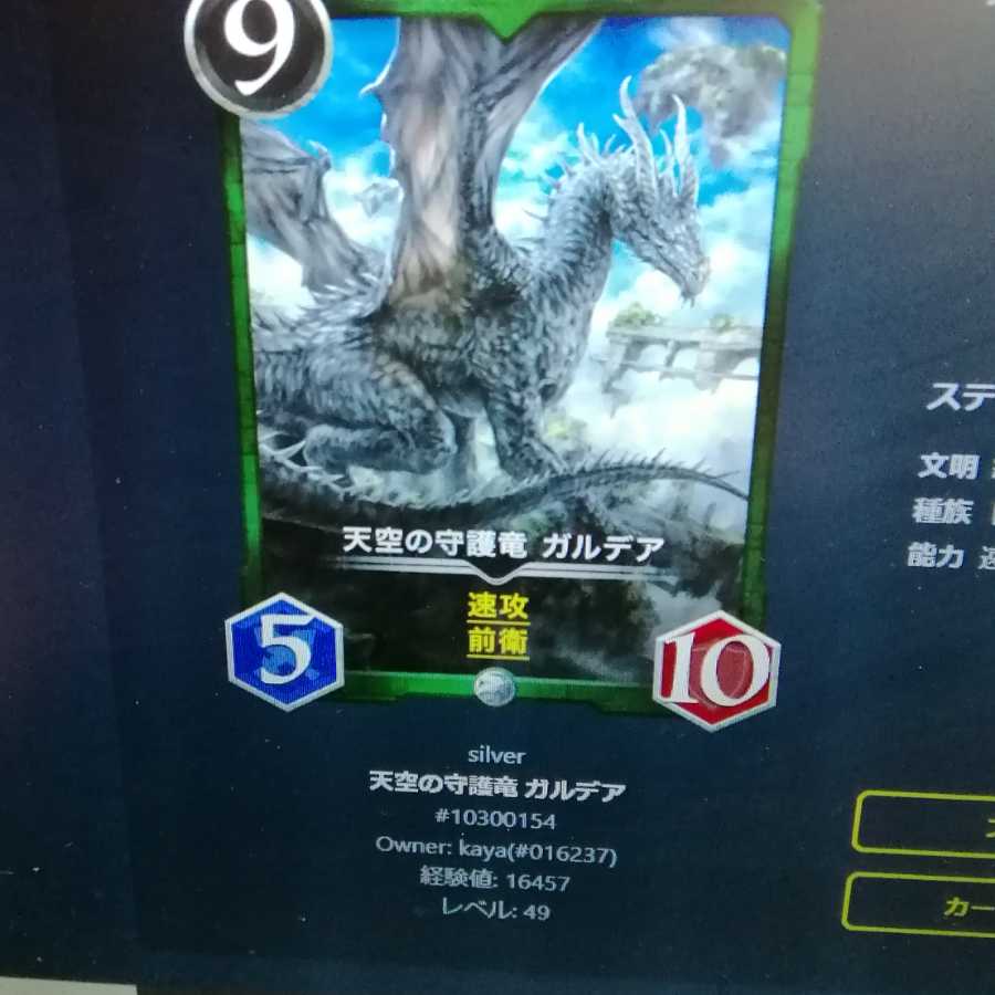 天空の守護竜　ガルデア