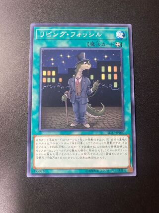 Living Fossil Normal JP030