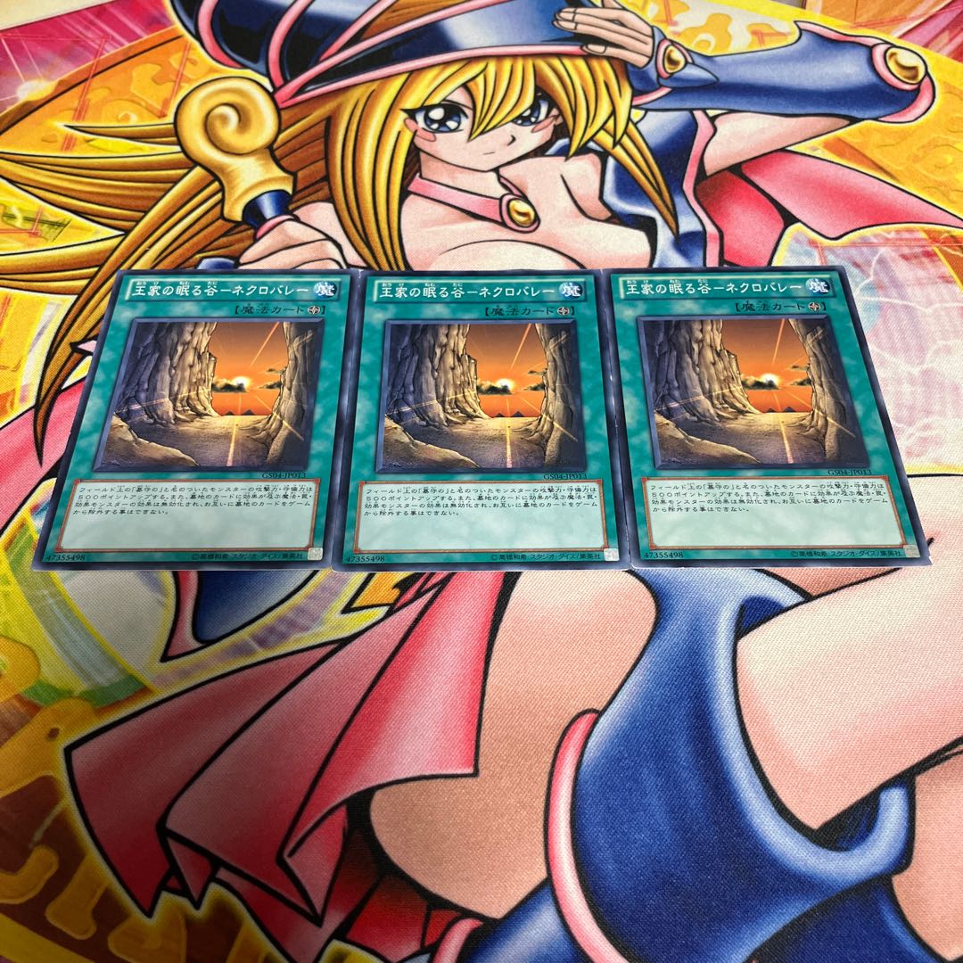 Valley of Sleep of Kings - Necro Valley, scratched, normal JP013