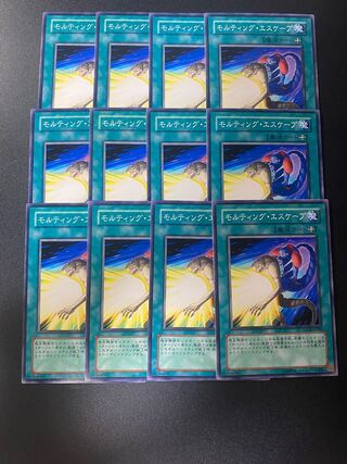 Molting Escape Normal JP049