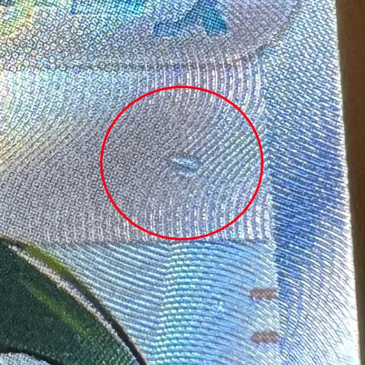 チリ SR 083/062 SV3a ポケモンカードゲーム ポケカ 1枚