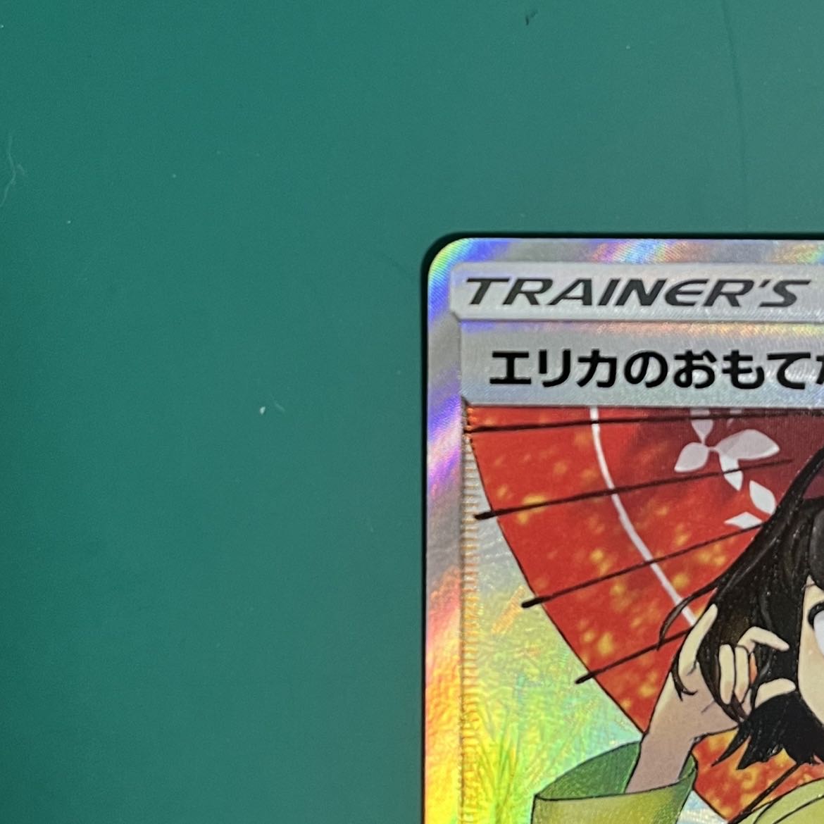 Erika's Hospitality SR 190/173