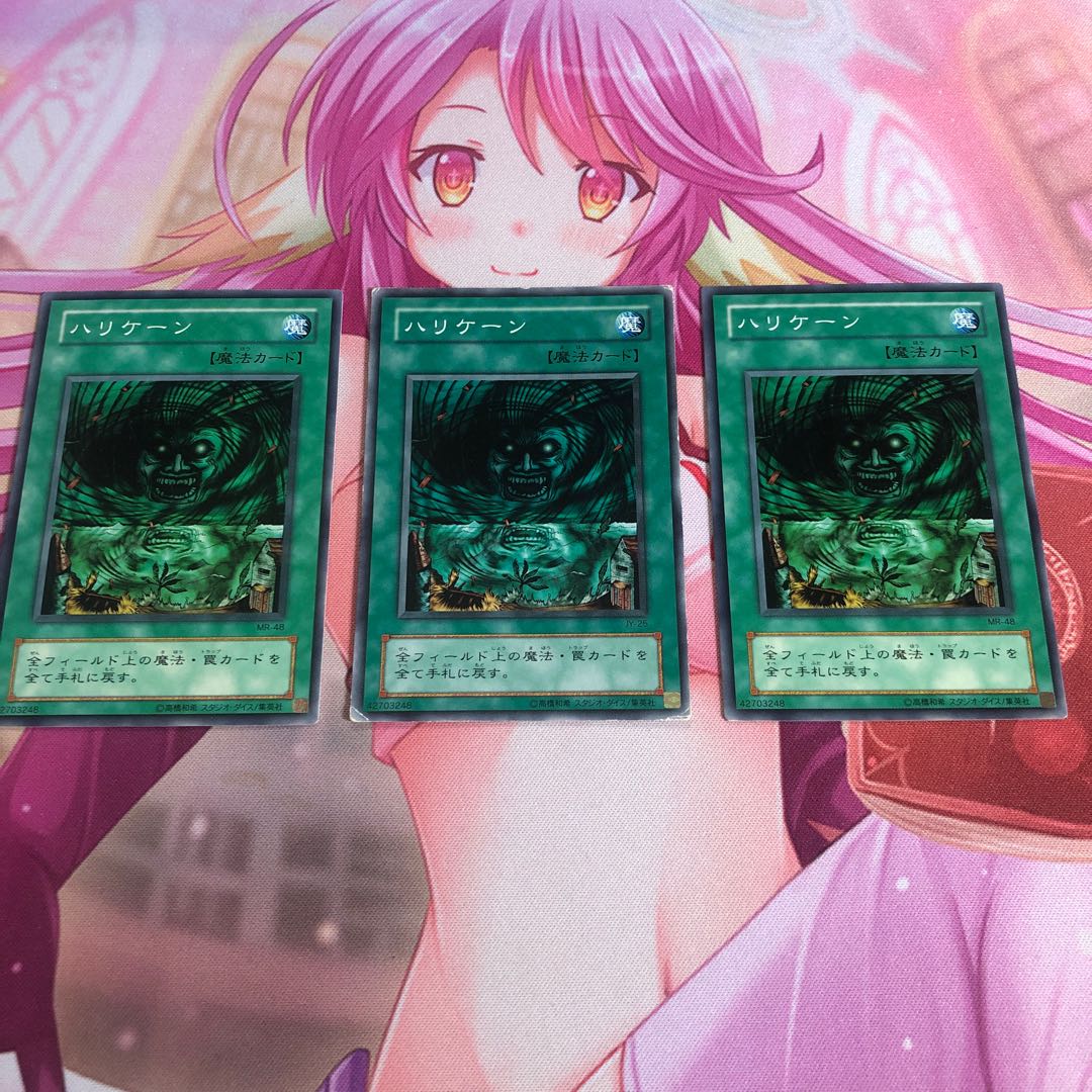 【もふもふ】ハリケーン