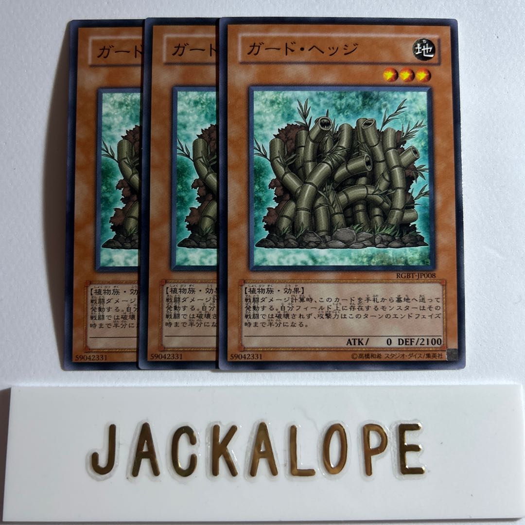 10920 Hedge Guard *64