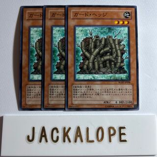 10920 ガード・ヘッジ ノーマル JP008