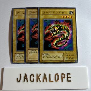 ワームドレイク　＊65