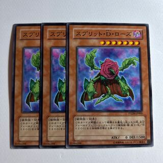 10925 スプリット・D・ローズ ノーマル JP005