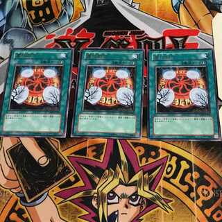 墓地封印 TSHD 6 レア 3枚セット てら