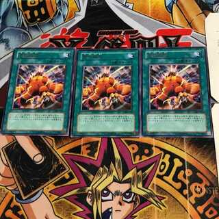 Wild LifeLiberate 306 4 Rare Set of 3 Tera.