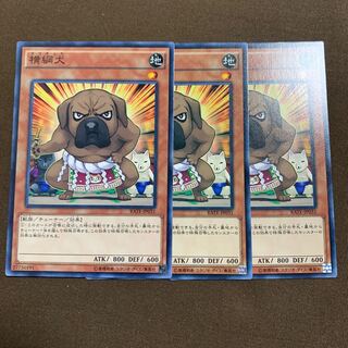 横綱犬　ヨコチュナ　3枚