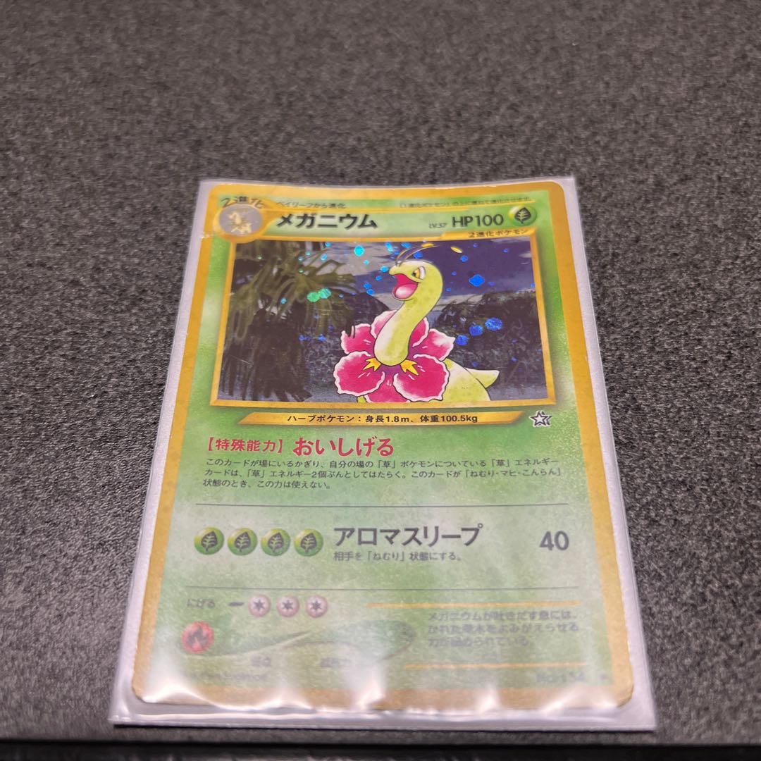 Meganium/Old Back