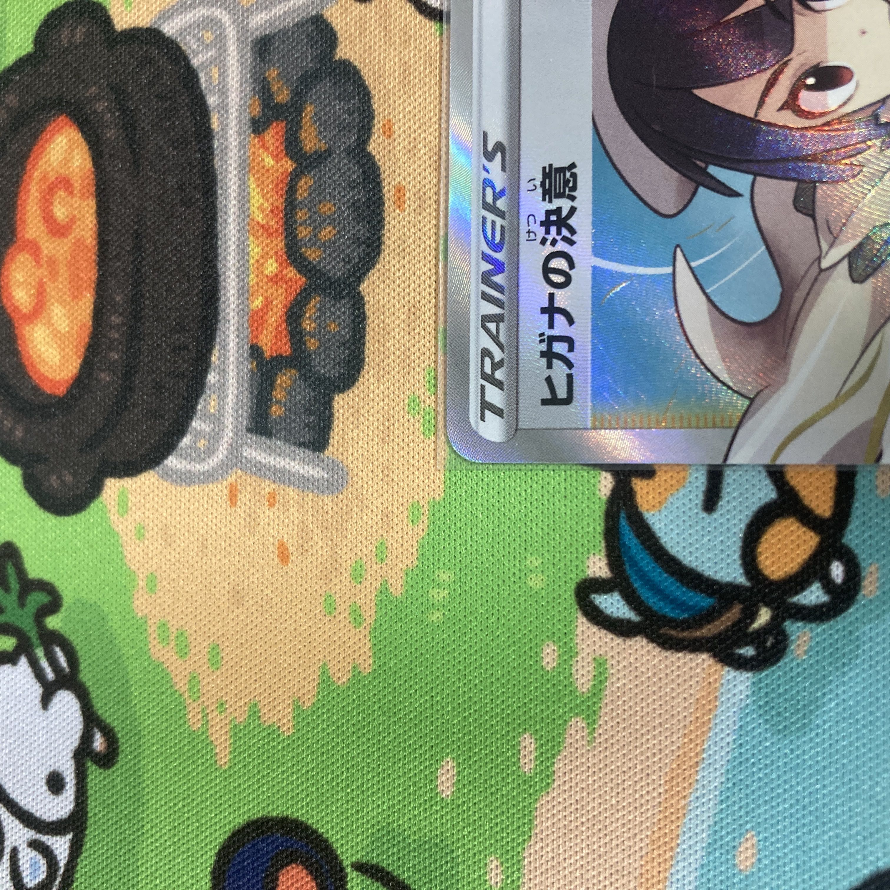 Zinnia's Resolution SR 079/067