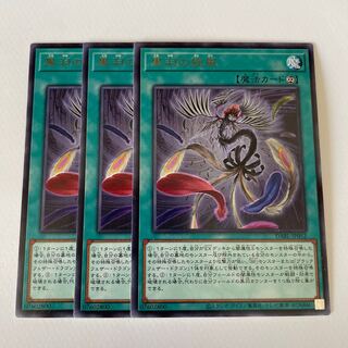 Black Feather Whirlwind *168