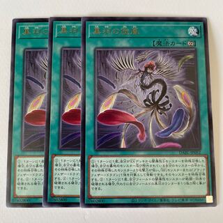 Black Feather Whirlwind *169