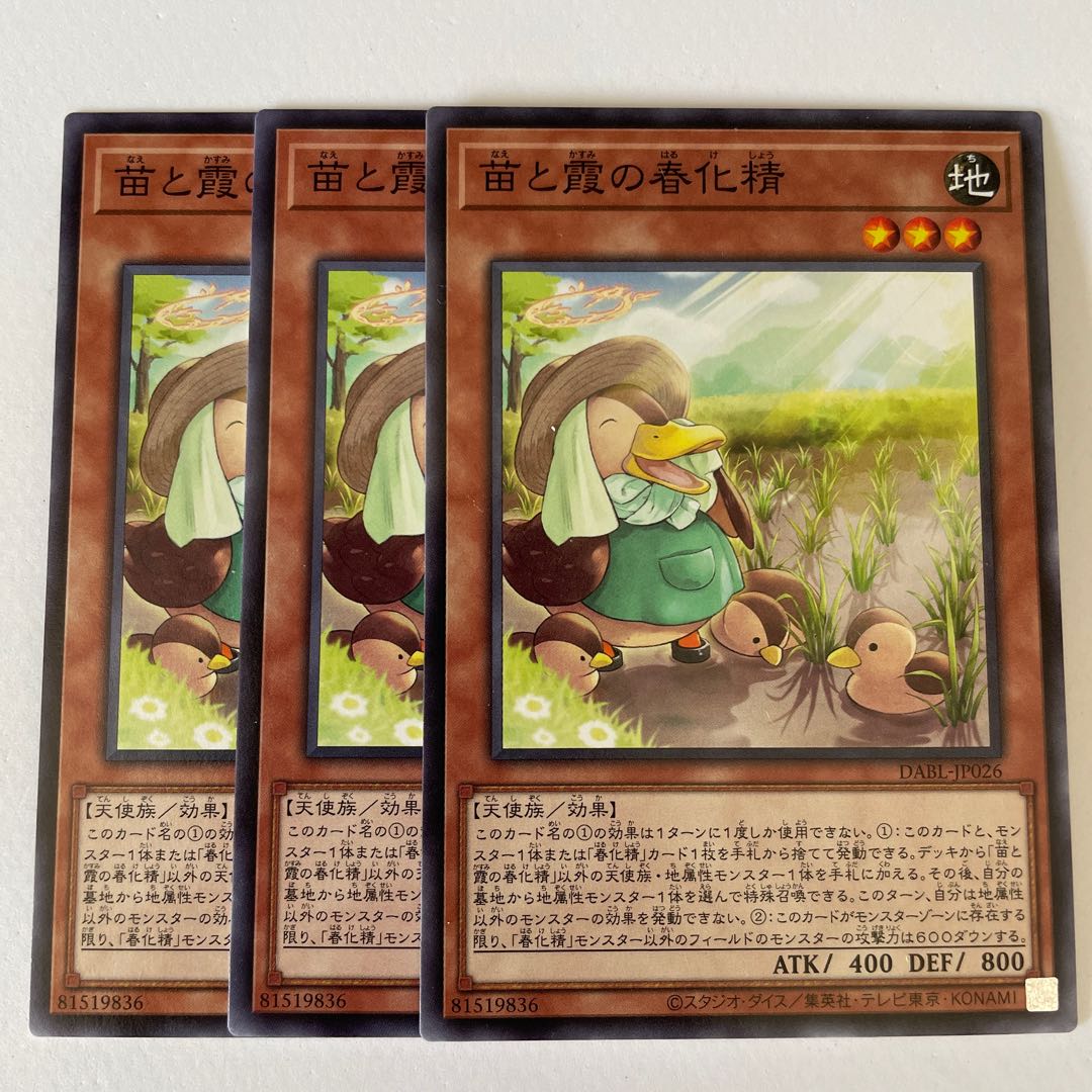 Seedlings and Kasumi no vernalization seijin *178